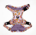 Bloom and Doom Harness