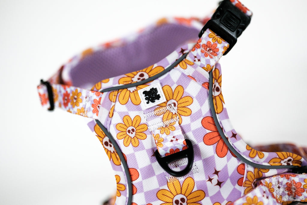 Bloom and Doom Harness