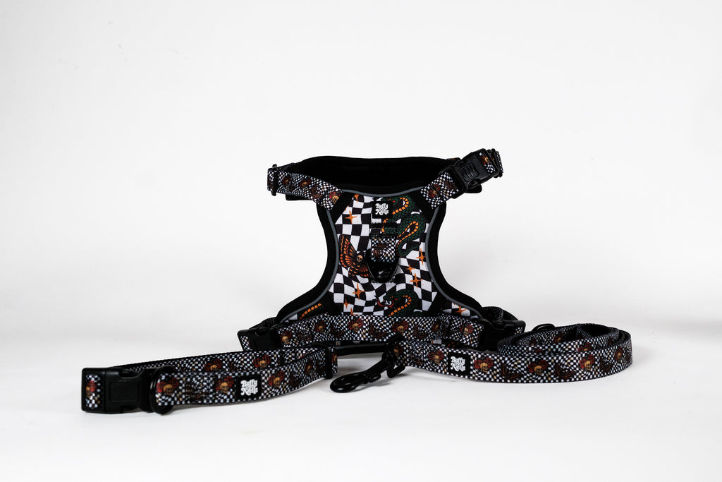 Death Moth Harness Set