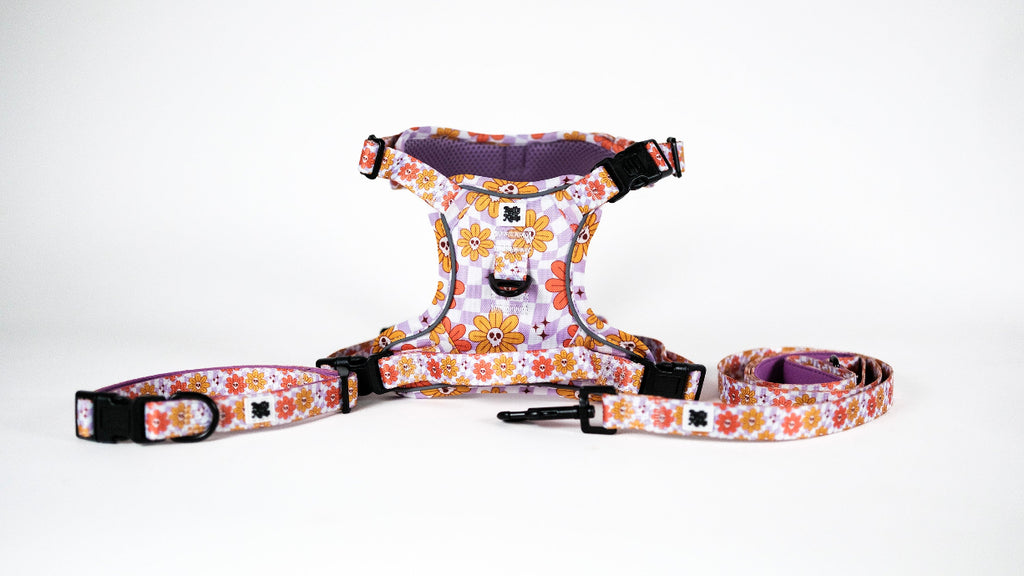 Bloom and Doom Harness Set
