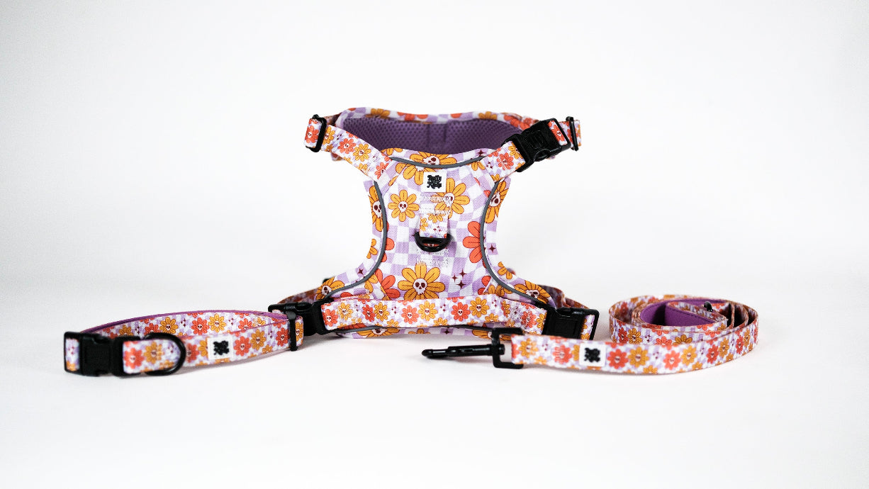 Bloom and Doom Harness Set