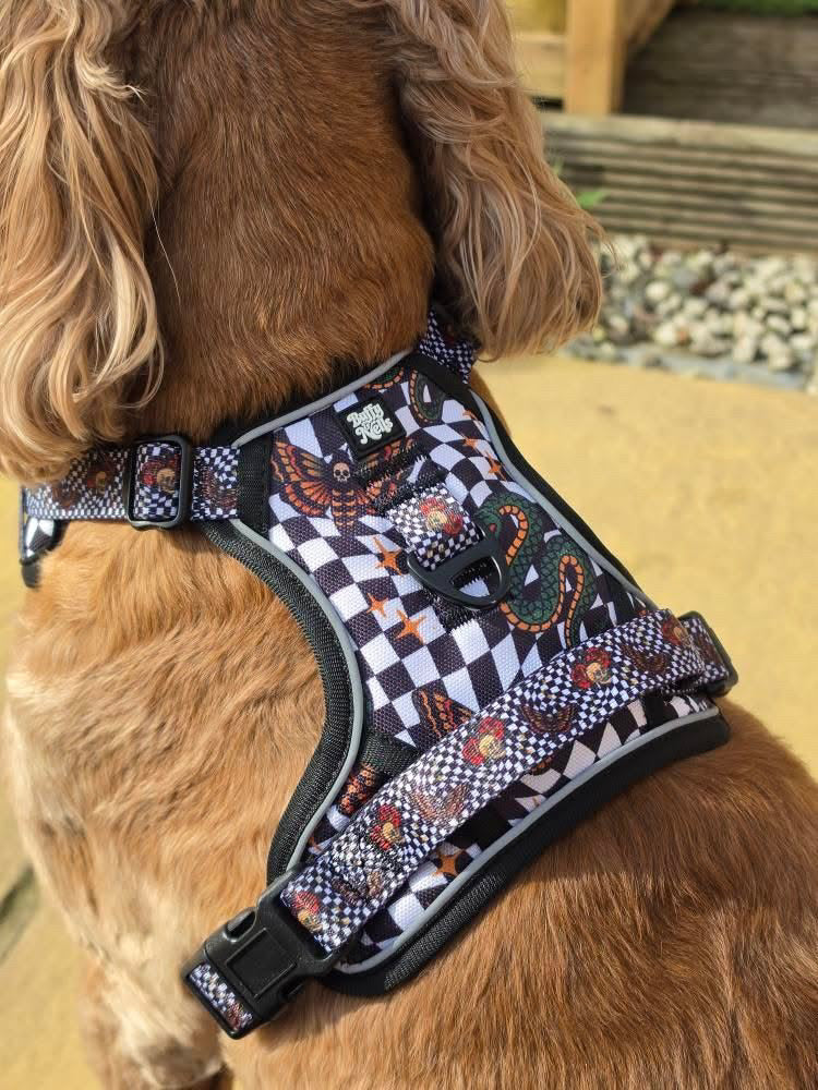 Death Moth Harness Set