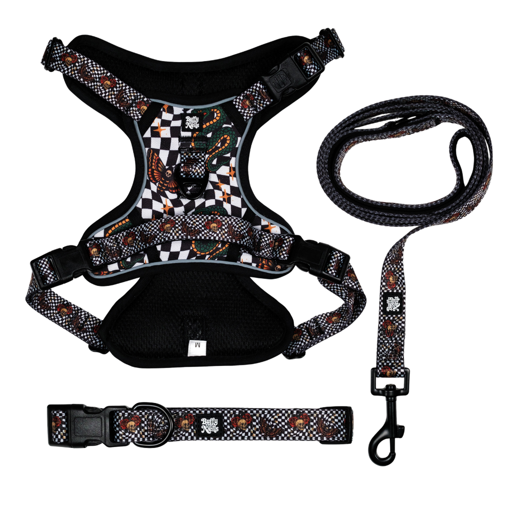 Death Moth Harness Set
