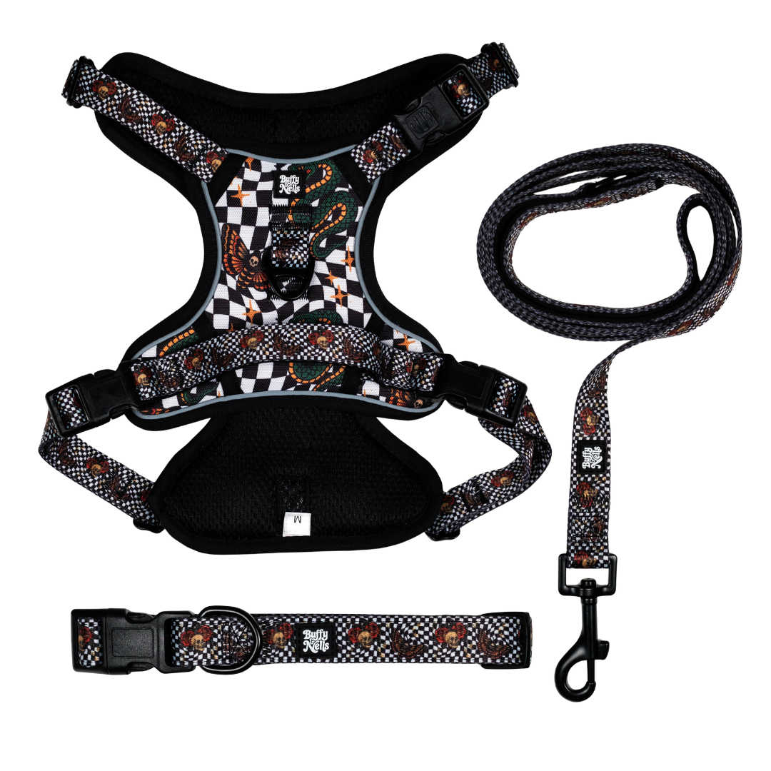 Death Moth Harness Set