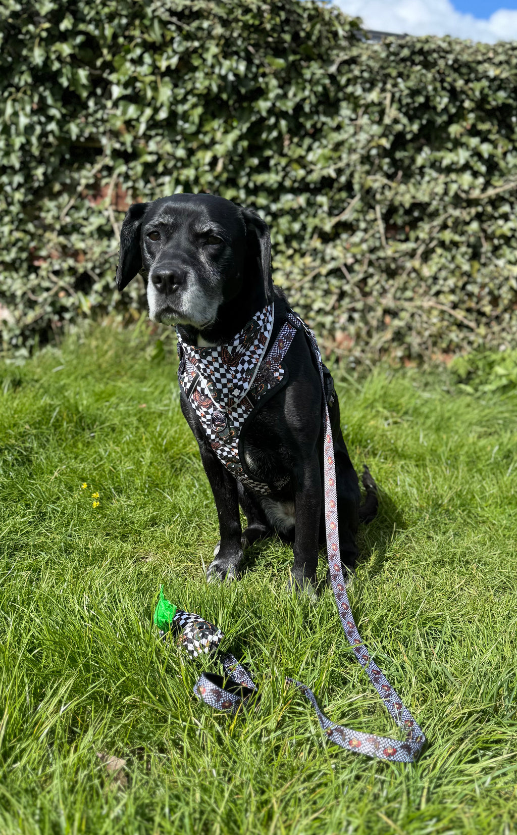 Death Moth Venom Bandana