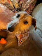 Bandana Set