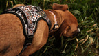 Death Moth Harness Set